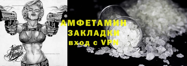 мдпв Бородино