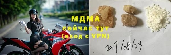 мдпв Бородино