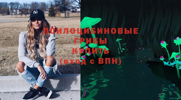 мдпв Бородино