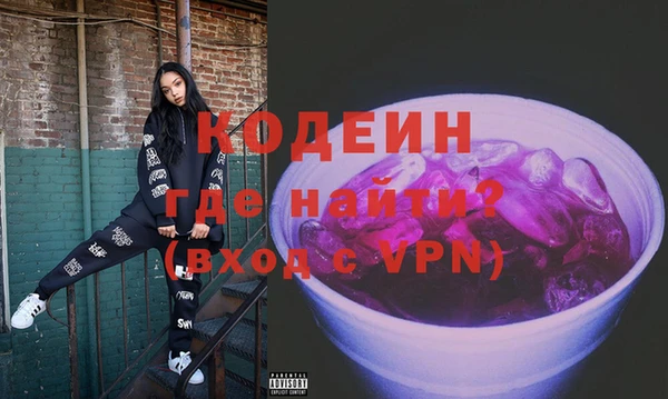 мдпв Бородино