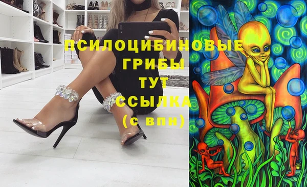 мдпв Бородино