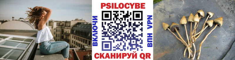 сколько стоит  Обь  hydra онион  Псилоцибиновые грибы Magic Shrooms 